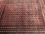 afghan_rug_perth